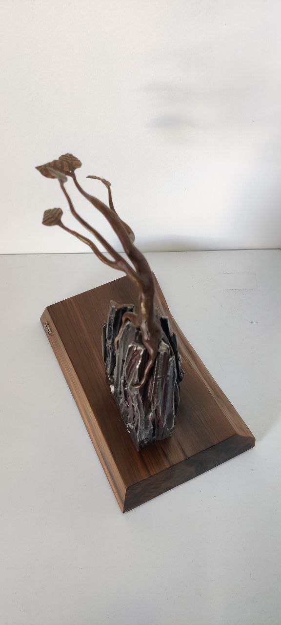 Marcel Zwezerynen| RESILIENS ZEPHYRUS.| McAtamney Gallery and Design Store | Geraldine NZ